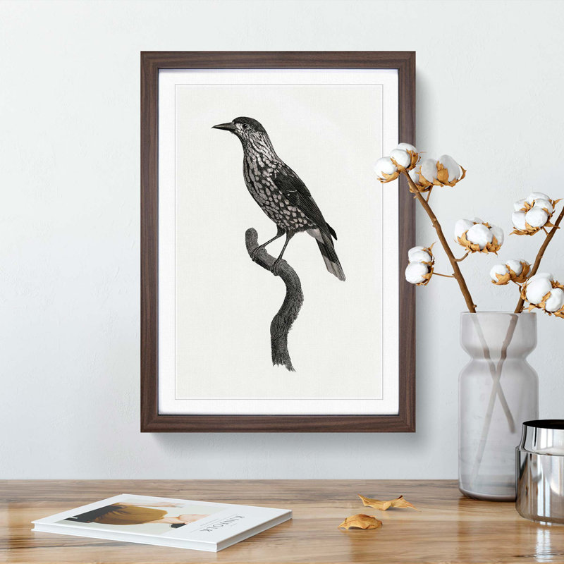 Nutcracker Bird by Jacques Barraband - Picture Frame Painting Print, 48cm H x 36cm W x 2cm D, Walnut Framed