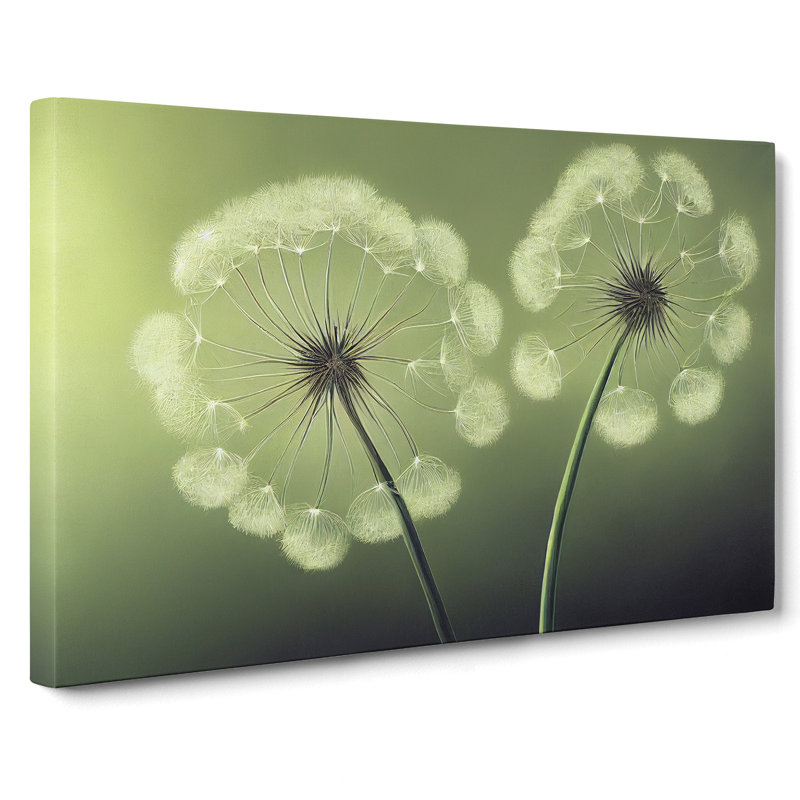 Soulful Dandelion Flowers - Wrapped Canvas, 35cm H x 50cm W x 3cm D