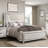 Bed Frame With Side Bookshelves, Two Drawers, And Built-in USB Port-633762074-619901588