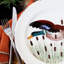 Wildlife Handmade Terra Bianca Dinner Plate
