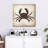 Brampt Crab II-109215695