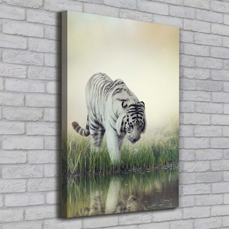 White Tiger - Wrapped Canvas Print