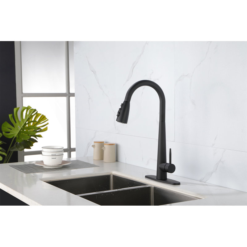 Robinets de cuisine noirs avec douchette rétractable, Noir mat