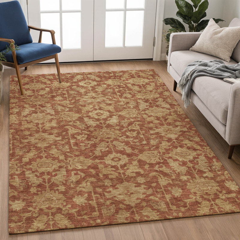 Machine Washable Indoor/Outdoor Chantille ACN2358 Traditional Rug, Rectangle 9' x 12'