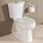 Dual-Flush Round Two-Piece Toilet (Seat Included)