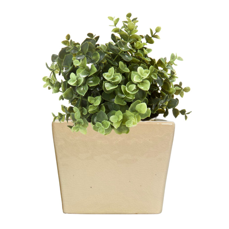 Pot de fleurs en céramique 6 po, pot de fleurs en céramique, plante décorative pour la maison, blanc