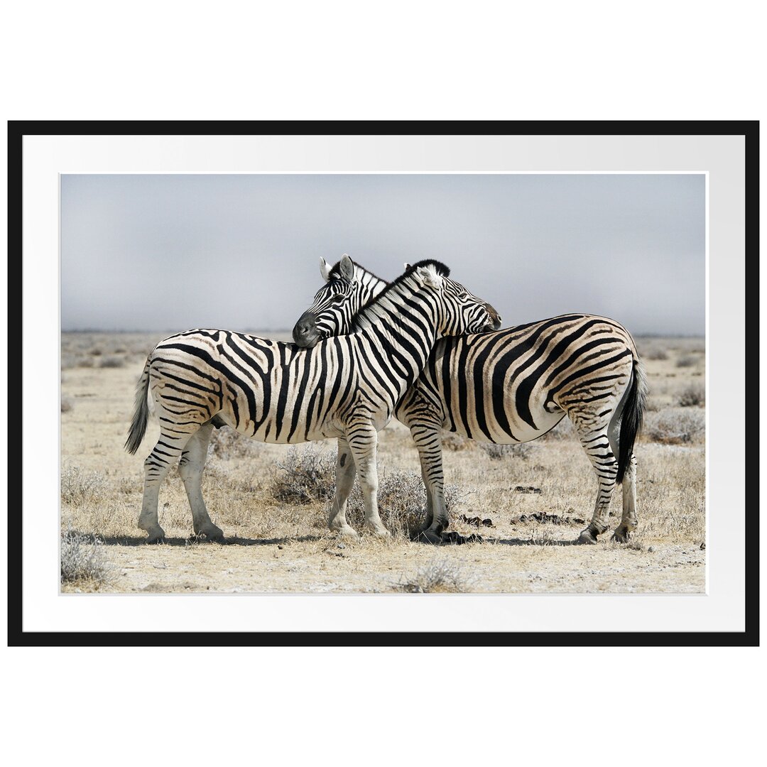 Gerahmtes Poster Cuddling Zebra