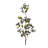 Blue Berry Foliage Spray