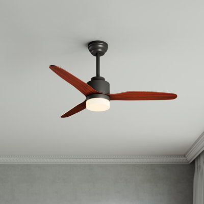 Mukundan Ceiling Fan with Light Kit