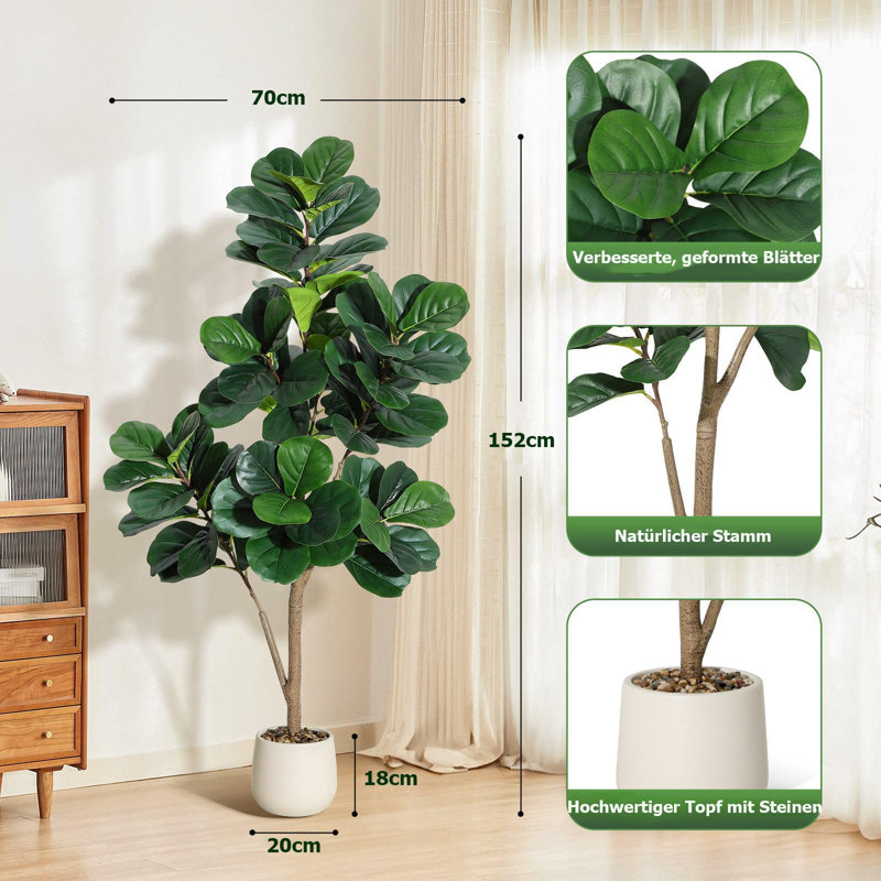 Plant, 150 cm x 69.9 cm