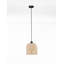 - Light Pendant