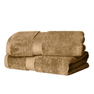 Renata 800 GSM 2 Piece Certified Egyptian Cotton Bath Towel Set 