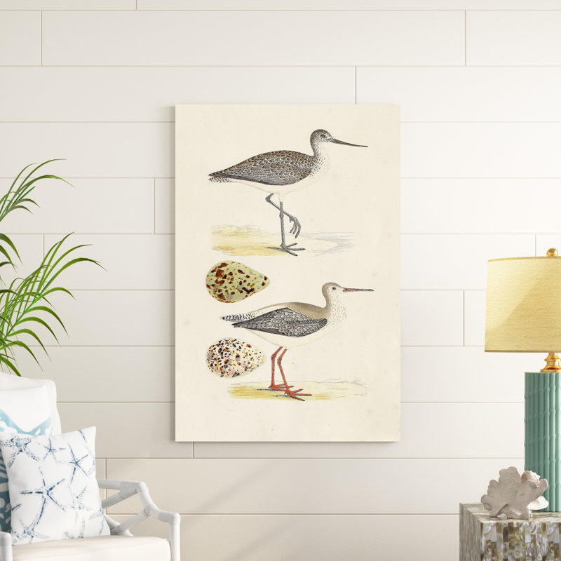 «Sandpipers and Eggs I», impression sur toile, H 48 po x l 32 po