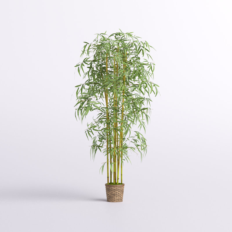 Silk Bamboo Tree in Basket