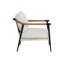 Vineeta Lounge Chair-1507323116