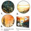 Pin, coucher de soleil brillant II - Pin, art mural-619233673-619233680
