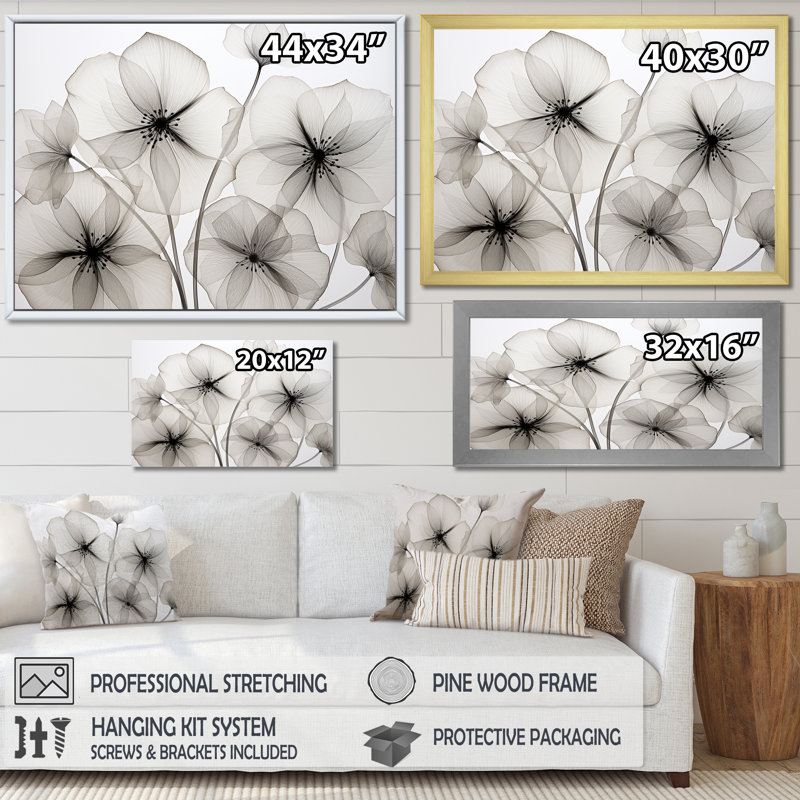 «Black and White Morning Glory Speed - Morning Glory», reproduction d'art sur toile, H 30 po x l 40 po x P 1,5 po