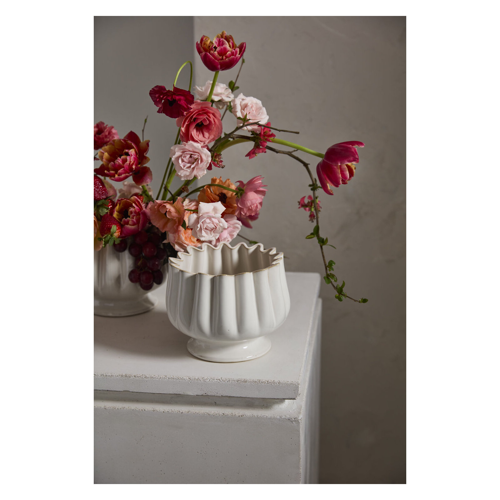 Tulipa Compote