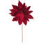 Tiges de poinsettia Clementina-1700957694