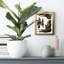 Onyx Obelisks II - impression d'un seul cadre photo-88101858-98030295-98030298