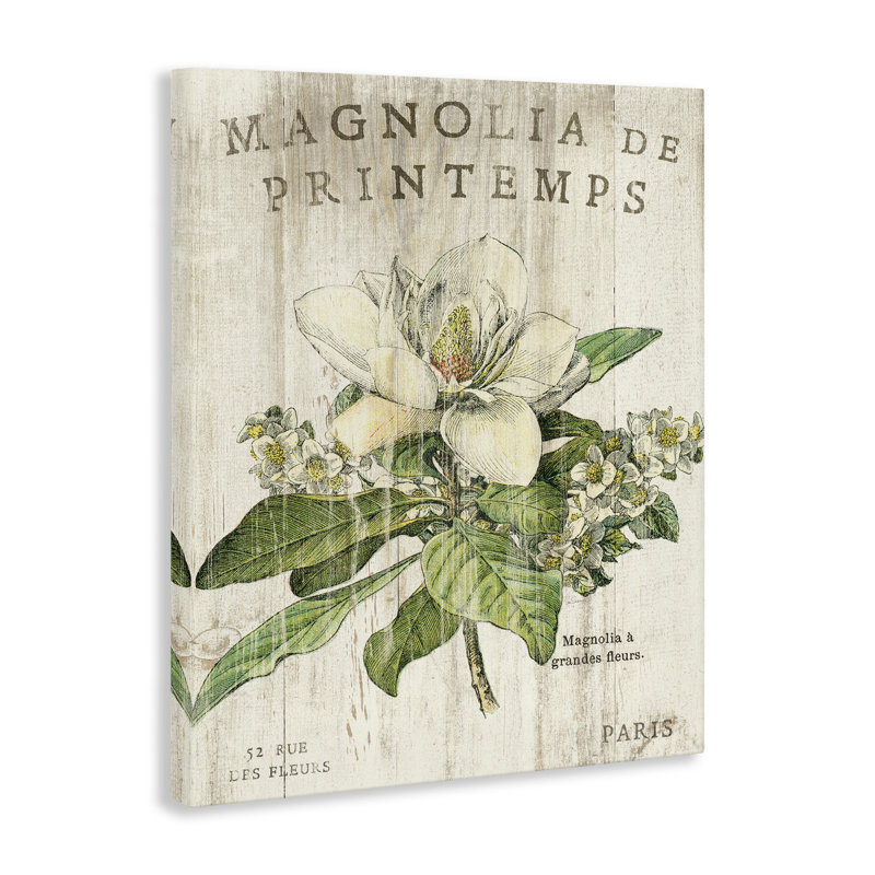 «French Magnolias in Spring», art mural surdimensionné sur toile tendue par Sue Schlabach, H 30 po x l 24 po