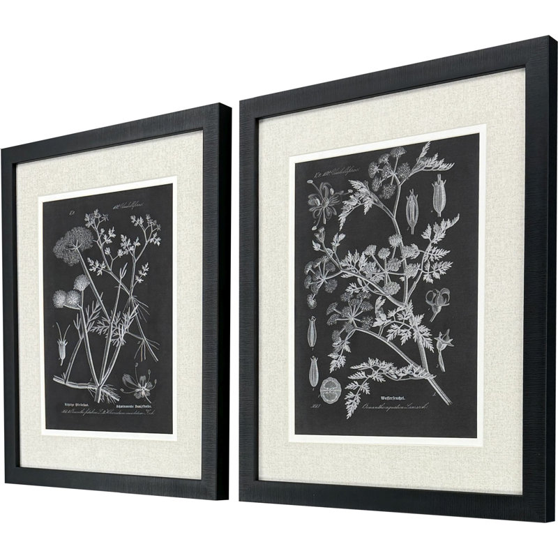 Mono Botanicals I S/2 Print by Libby Langdon Paragon