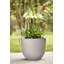 Plant Pot-72816960-72816962