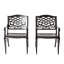 Chaise avec accoudoirs PHOENIX, ensemble de 2
