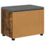 Storage Bench-1191774917-1191774913