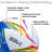 Xcello Sports Soccer Balls, Assorted Graphics with Pump, Pack of 6