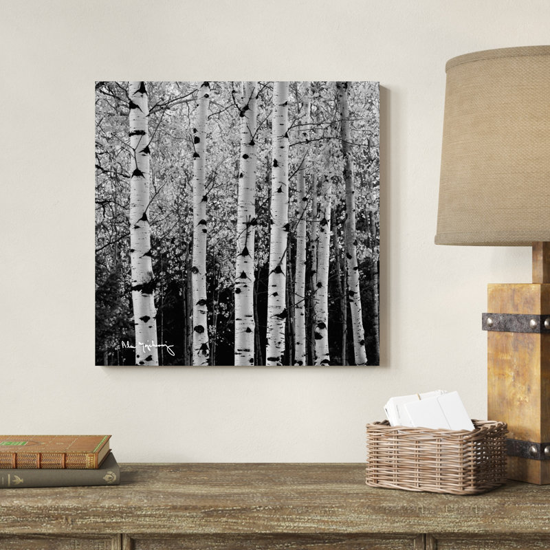 Aspens in Autumn II BW, H 20 po x l 20 po x P 1,25 po