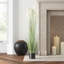 Faux Dogtail Grass in Pot-678879176