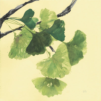Gingko feuilles I foncé