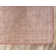 Polli Oriental Indoor Rug