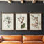 Pl. 160 Carolina Titmouse - Ensemble de 3 peintures sur toile encadrées-476429148-476429139
