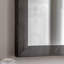 Deanette Rectangle Mirror-915063819-915063816