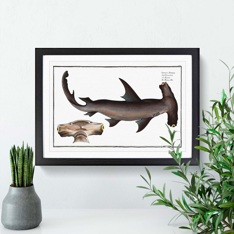 Hammerhead Shark by M.E. Bloch - Picture Frame Painting Print, 36cm H x 48cm W x 2cm D, Black Framed