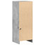 Shanerica Accent Cabinet-588309473
