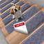 Paquet de 15 tapis d'escalier antidérapants 8 po x 30 po-676644110-676644216-676644215