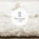 Rustem Shag Area Rug 