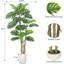 Plante artificielle 5 / 6FT Monstera avec pot en céramique, faux arbre tropical réaliste pour la décoration intérieure et extérieure-599857058