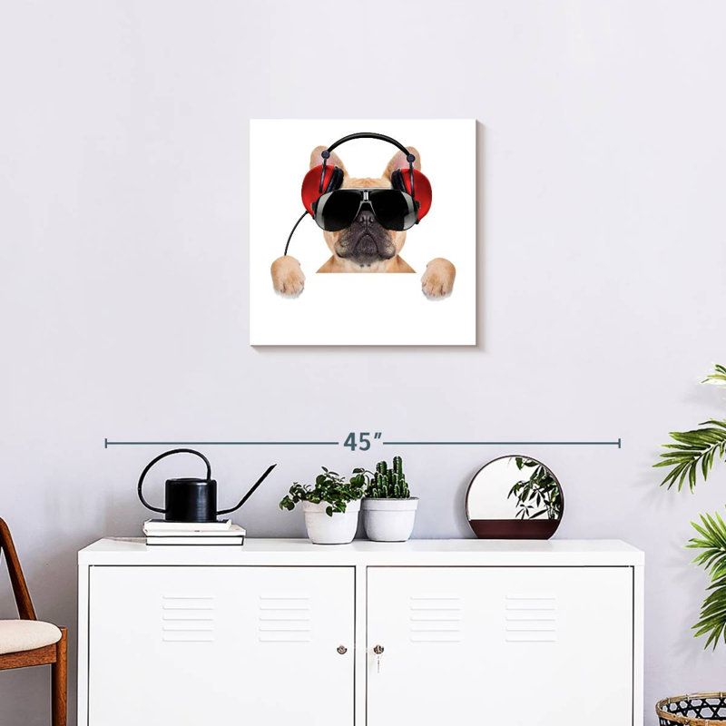Bouledogue français Bramoph audiophile, H 20 po x l 20 po