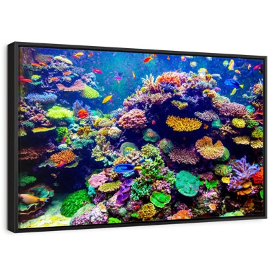 Singapore Aquarium Coral Reef
