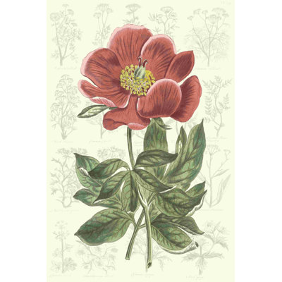 Pivoine Flower Garden II
