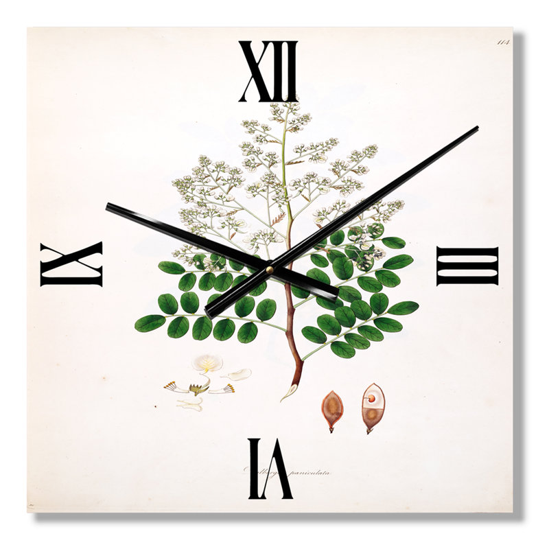Horloge murale Botanicals, Très grand