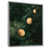 Floater Framed Print without Mat