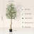 Faux Olive Tree Artificial Indoor, Tall Fake Olive Tree With Moss-857708583