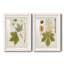 Antique Leaves VII - ensemble de 2 reproductions d'art sur papier encadré-65367038-65367039