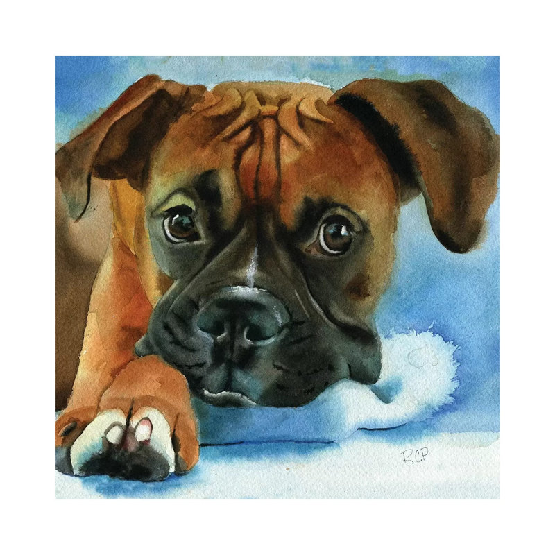 Boxer Baby by Rachel Parker - Painting on Canvas, Wrapped Canvas, 30.48 cm H x 30.48 cm W