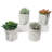 4.75'' Faux Succulent in Fake Marble Pot